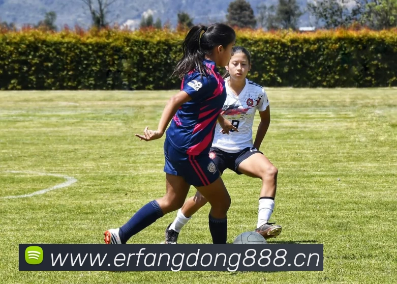 HTH平台 - HTH(中国)一站式服务平台发展历程