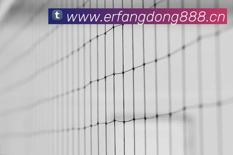 奖项图1